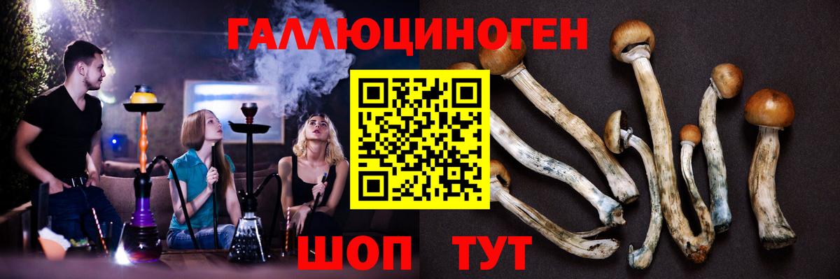 Азнакаево  Псилоцибиновые грибы мухоморы  Вход с VPN 